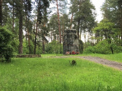 DarnytskyiMinnesmonument i skogen