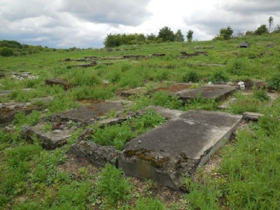 PlaszówFörstörd judisk begravningsplats på lägerområdet (2015)
