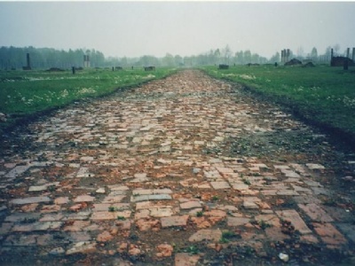 Auschwitz II – BirkenauAuschwitz II - Birkenau: Sektion BII