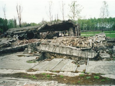 Auschwitz II – BirkenauRuiner efter krematorium II