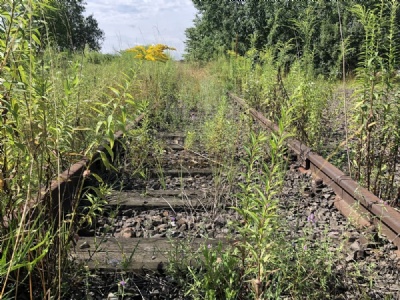 Auschwitz II – BirkenauAuschwitz II – Birkenau: Railway tracks belonging to the original unloading ramp