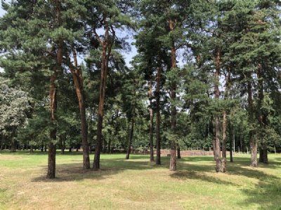 Auschwitz II – BirkenauKrematorium 5 (bakom träden)