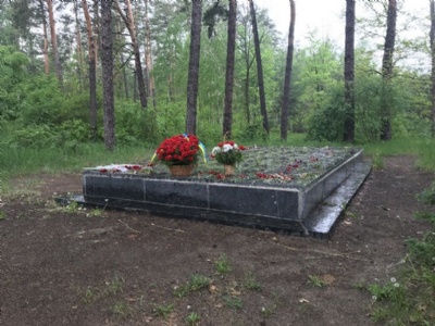 DarnytskyiMemorial monument in the forest
