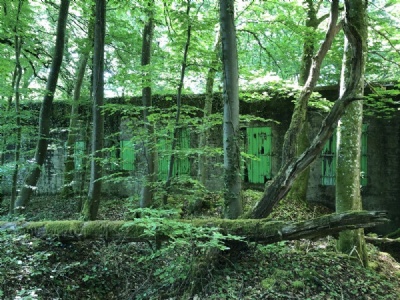 BrunhildeMain Bunker, Brunhilde