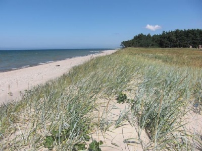 SkedeBeaches where the executions took place