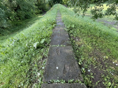 JasenovacPath to the ferry