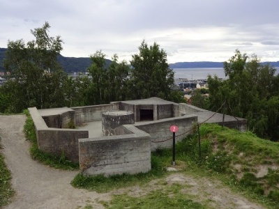 Kristiansten FortressAir defence