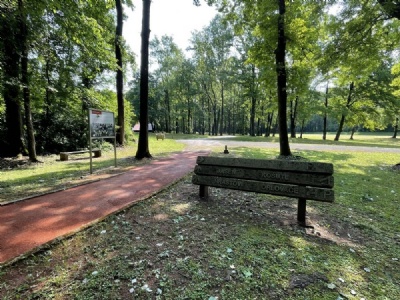 Donja Gradina