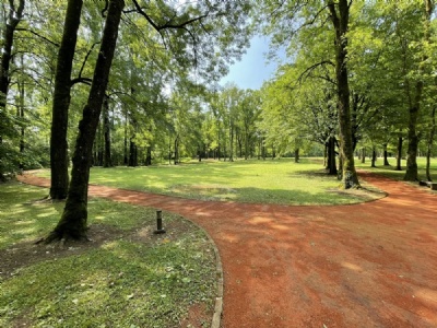Donja Gradina