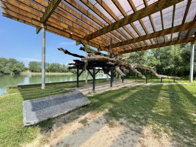 Donja Gradina
