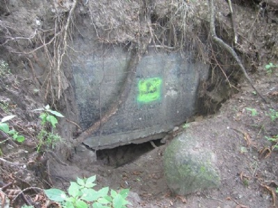 CarinhallIngången till Görings bunker (2013)