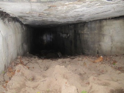 CarinhallInuti Görings bunker (2013)