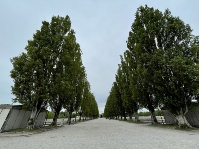 DachauLägergata (2026)