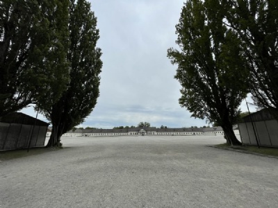 DachauDachau(2026)