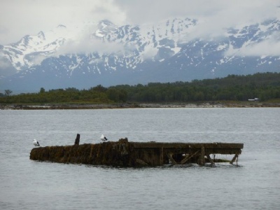 Tromso - HakoyaRemnants of the platform that was used scrapping Tirpitz