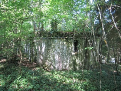 TravesHuset ligger bland tät vegetation