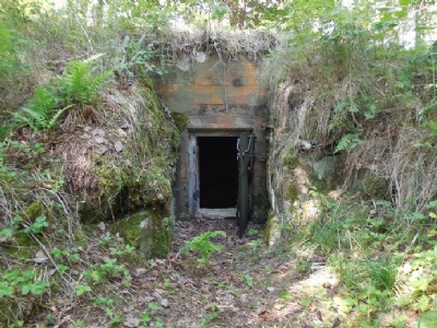 BorgvikMachine gun nest entrance