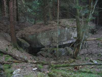 HürtgenwaldBunker ruin, Raffelsbrand (2008)