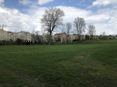 MajdanekRosenträdgården (2022)