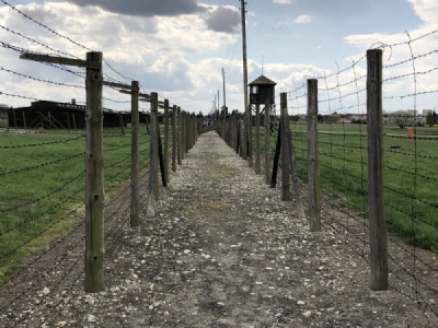MajdanekMajdanek (2022)