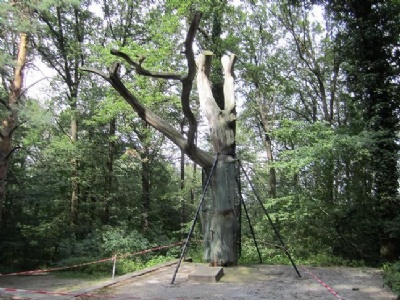 Langenstein – ZwiebergeAvrättningsplats - Fångar hängdes i trädet eller sköts vid trädet