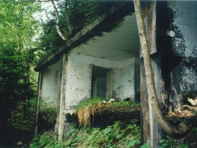 ObersalzbergRuiner efter Hitlers tehus på Mooslahnerkopf (1997). Ruinerna togs bort 2006