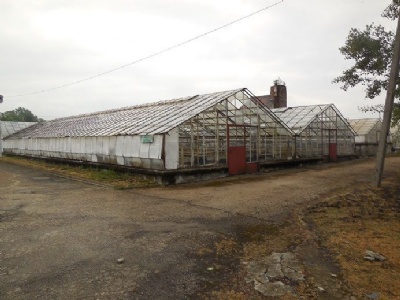 RajskoCamp greenhouses