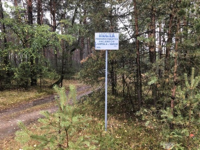 WartaRossoszyca - skogen