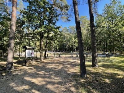 SkrwilnoMonument in the forest