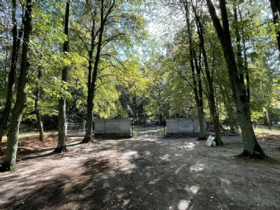 SkrwilnoMonumentet at the junction (53°00'53.41"N 19°37'46.28"E)