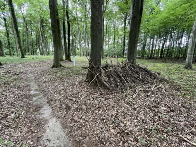 Belower WaldReplica av provisoriskt väderskydd 