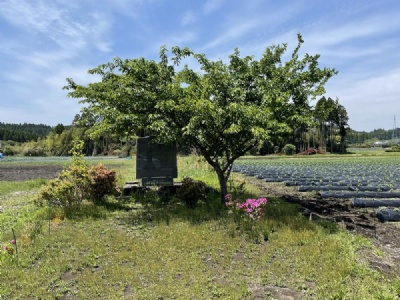 ChiranMinnesmonument nedskjuten B-25