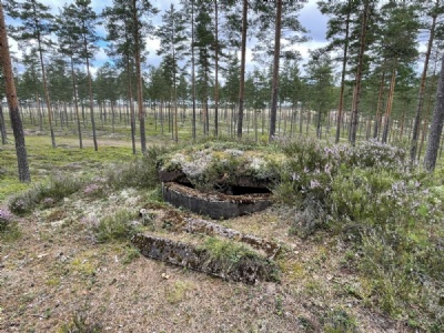 Brattforsheden - Krigsflygfält 16Luftvärn