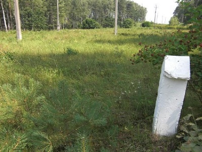 Bronnaya GoraSmå vita pilar markerar området kring massgravarna. Observera kraftledningarna som löper tvärs igenom massgravarna
